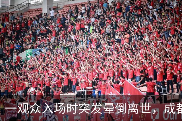 一观众入场时突发晕倒离世，成都蓉城足球俱乐部：深表痛心与惋惜，将全力协助家属做好后续善后工作